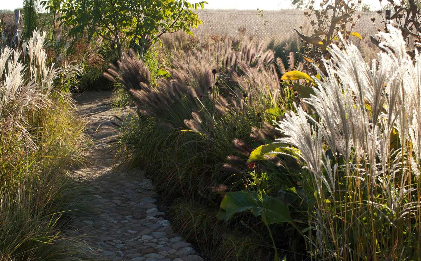Garten13