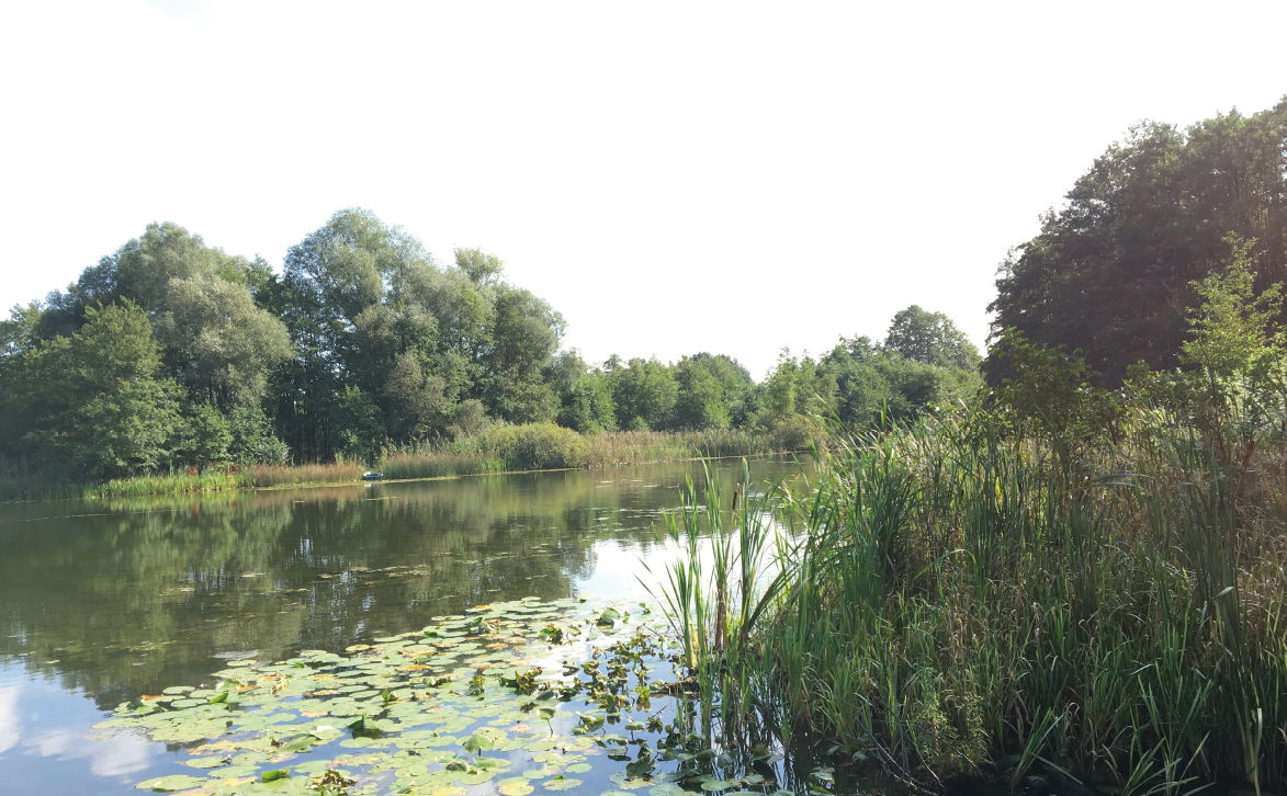 Umgebung04