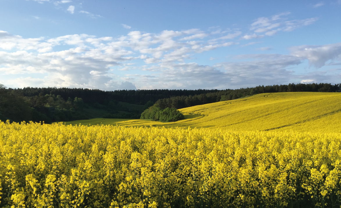 Umgebung05